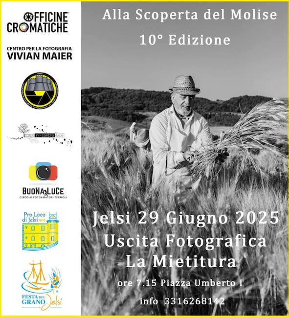 mostra la mietitura jelsi