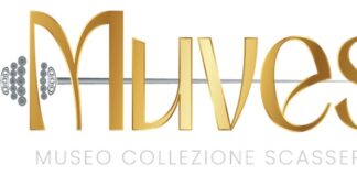 muves logo
