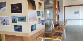raccontare il territorio