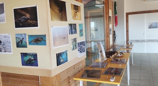 raccontare il territorio