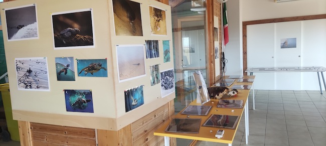 raccontare il territorio