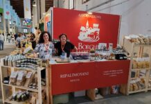 stand ripalimosani dmed 2025