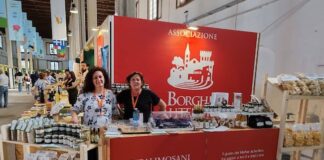stand ripalimosani dmed 2025
