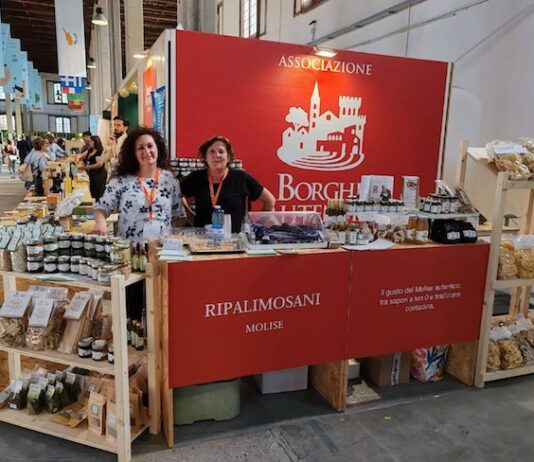 stand ripalimosani dmed 2025