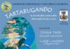 tartarugando 15 giugno 2025
