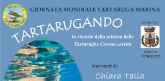 tartarugando 15 giugno 2025