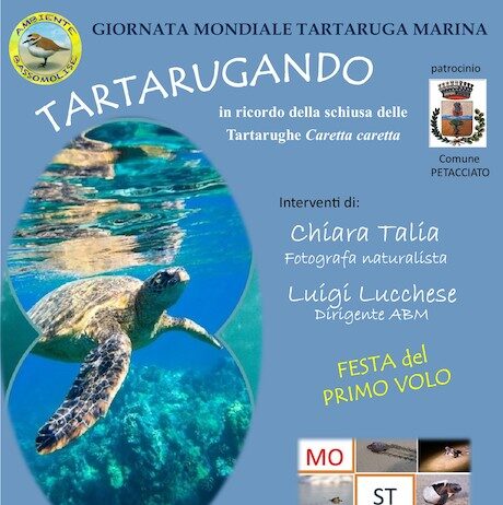 tartarugando 15 giugno 2025