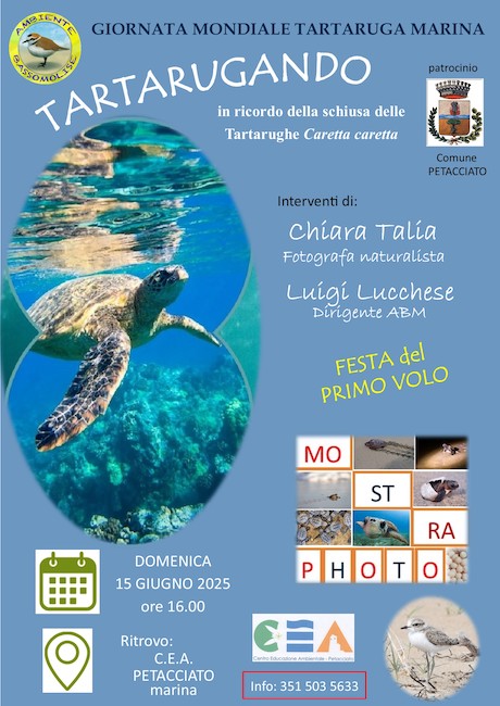 tartarugando 15 giugno 2025