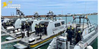 team guardia di finanza termoli