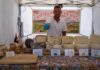 apertura casearia stands