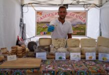 apertura casearia stands