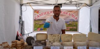 apertura casearia stands