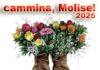 cammina molise 2025
