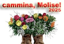 cammina molise 2025