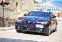 carabinieri termoli