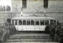 colomba bianca treno