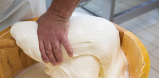 formaggio agnone