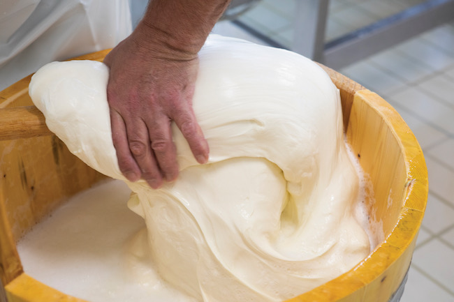formaggio agnone