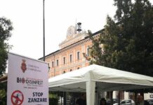 gazebo zanzare