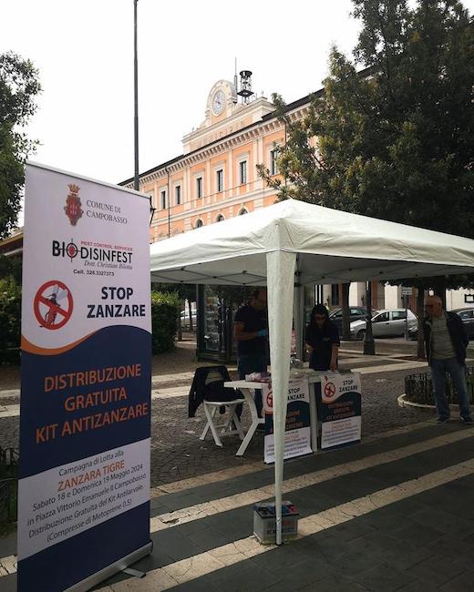 gazebo zanzare