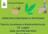 mercato contadino artigiano bojano 2025