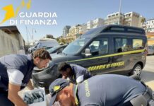 pesce sequestrato termoli