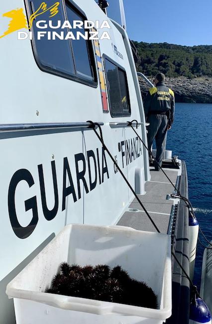sequestro ricci termoli