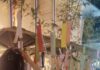tanabata osaka 2025