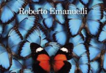tutta questa felicità libro