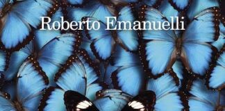 tutta questa felicità libro
