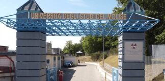 università del molise
