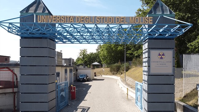 università del molise