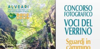 concorso voci verrino 2025