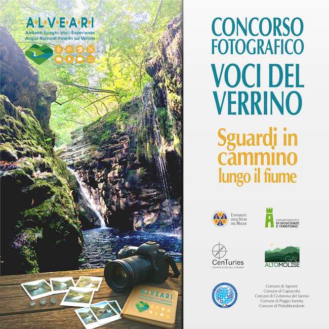 concorso voci verrino 2025