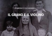 il grano e il violino