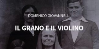 il grano e il violino