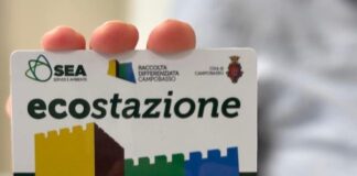 qr code area murattiana