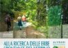 ricerca erbe agnone 11 agosto 2025
