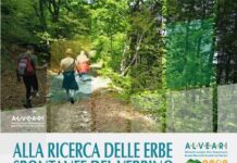 ricerca erbe agnone 11 agosto 2025