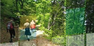 ricerca erbe agnone 11 agosto 2025