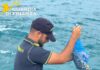sequestro prodotti ittici