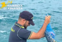 sequestro prodotti ittici