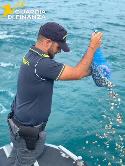 sequestro prodotti ittici