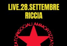 ammortizzatori sociali riccia