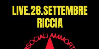 ammortizzatori sociali riccia
