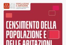 censimento istat