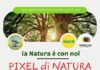pixel di natura 6 settembre 2025