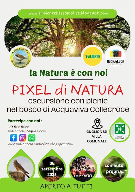 pixel di natura 6 settembre 2025