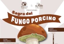 sagra del fungo porcino cantalupo nel sannio 2025