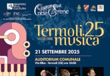 trio accord 21 settembre 2025